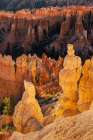 Sunrise at Bryce Canyon National Park, Utah Art Print